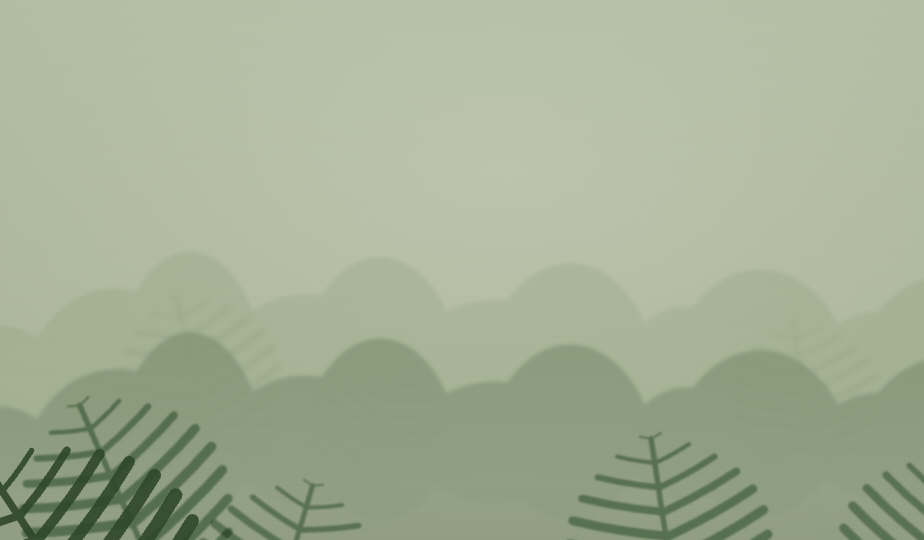 Mist rising through ponga (silver fern) in a New Zealand ngahere